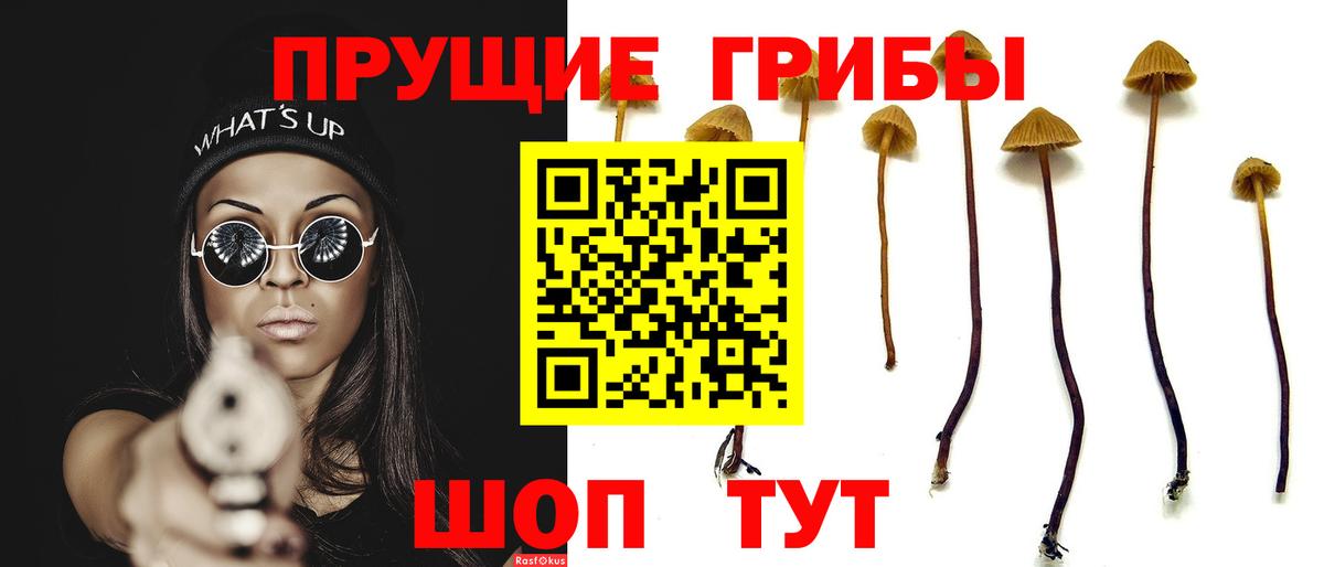 Галлюциногенные грибы Psilocybine cubensis  Галлюциногенные грибы Psilocybine cubensis  Михайловка  Вход с VPN 